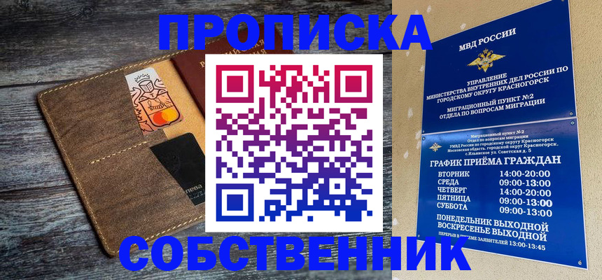 временная регистрация надежно в Моршанске
